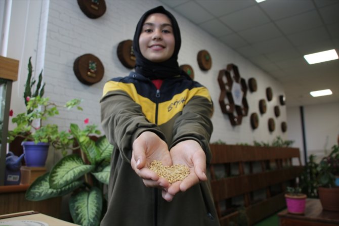 Öğrenciler "Tohum Kütüphanesi"yle ata tohumlarını geleceğe taşıyor