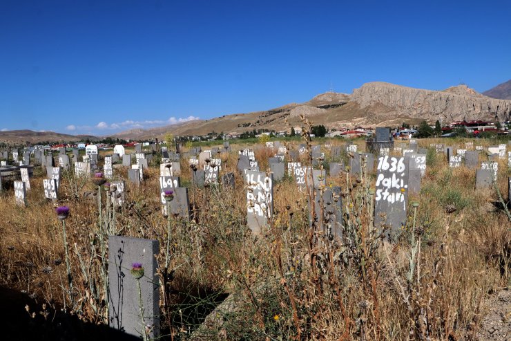 Van'nın isimsiz 255 mezarı
