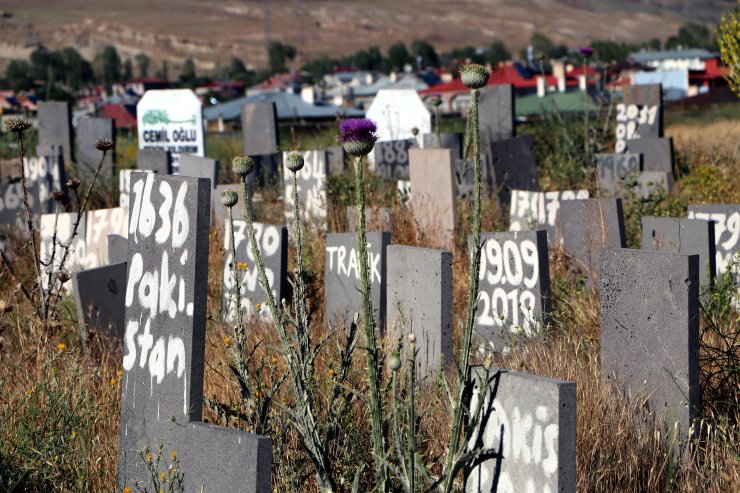 Van'nın isimsiz 255 mezarı