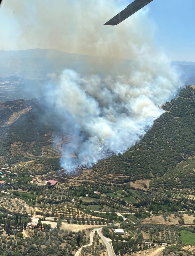 İzmir’de iki orman yangını