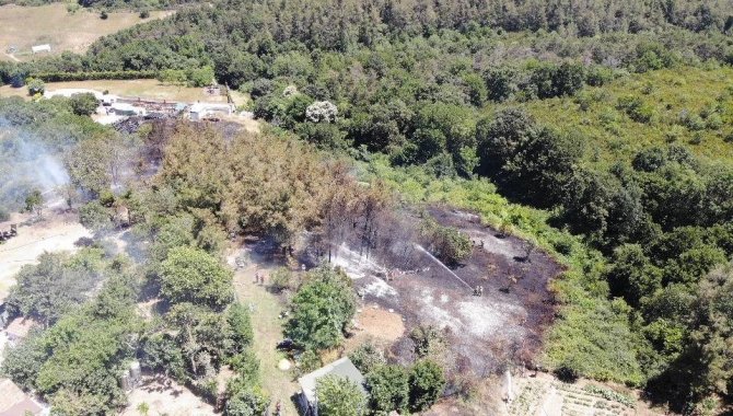 Korkutan orman yangını: Alevler evlerin bahçesine sıçradı