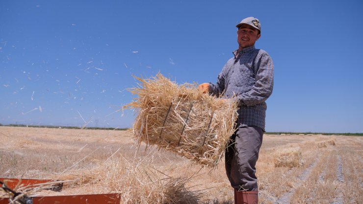 'Tahıl ambarı' Konya'da hasat sezonunda 2 milyon tonun üzerinde rekolte bekleniyor