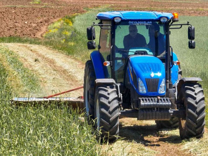 Vali Şimşek, traktör ve tırpanla hasat yaptı