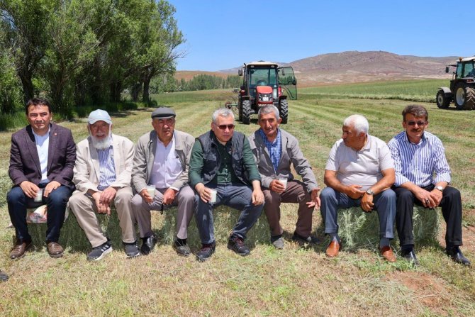 Vali Şimşek, traktör ve tırpanla hasat yaptı