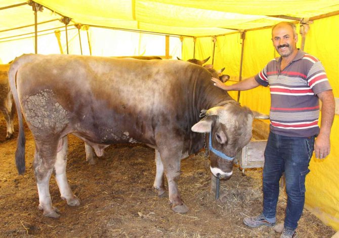 Kurban alırken acele edin