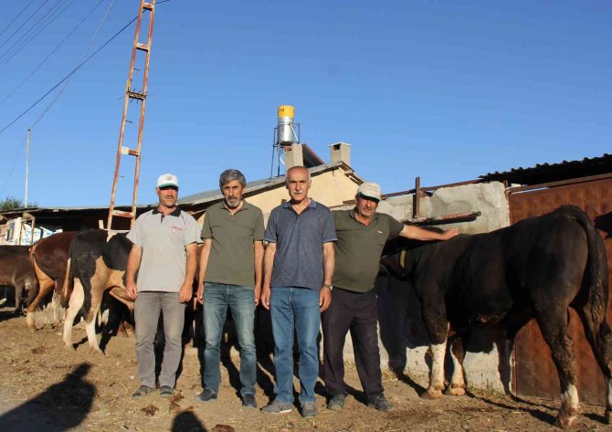 Kurban alırken acele edin