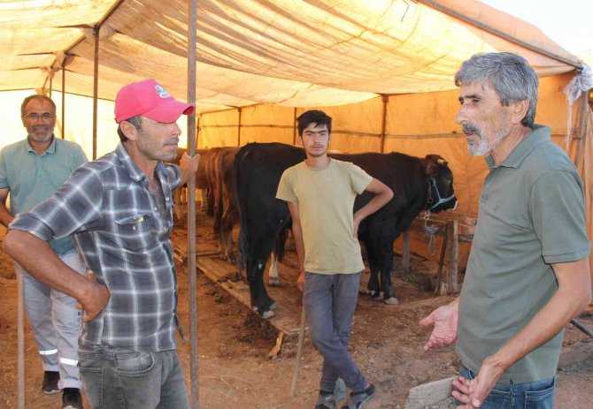 Kurban alırken acele edin