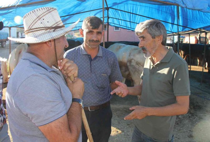 Kurban alırken acele edin