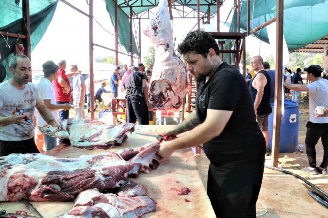 Kurban kesimini uzmanlar halletti, onlara bayram heyecanı kaldı