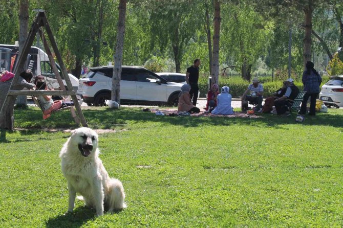 Bayramın son gününde piknik alanları doldu