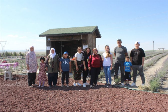 Konya'daki lavanta tarlasına yerli turist akını