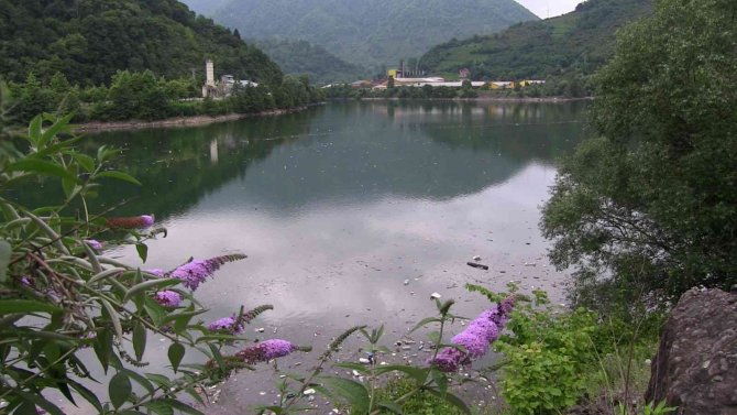 Kurban atıklarını baraj gölüne attılar