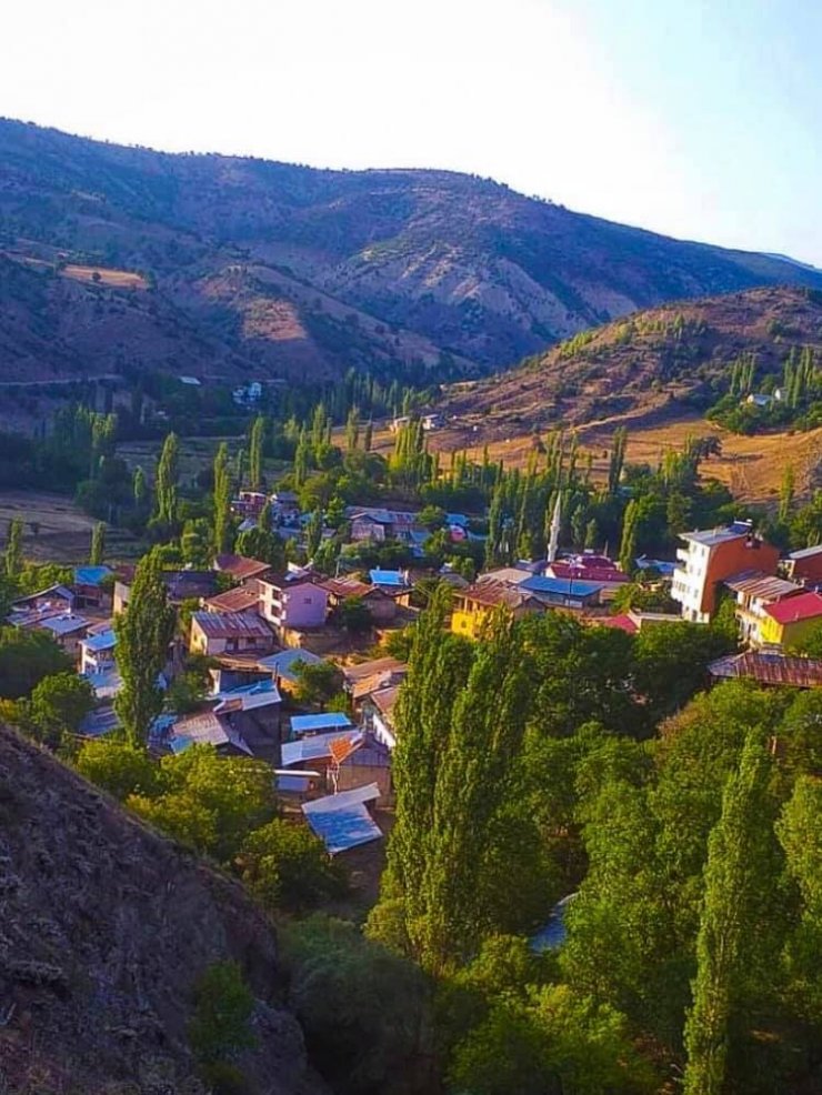 14 kişi yedikleri mantardan zehirlendi, valilik uyardı