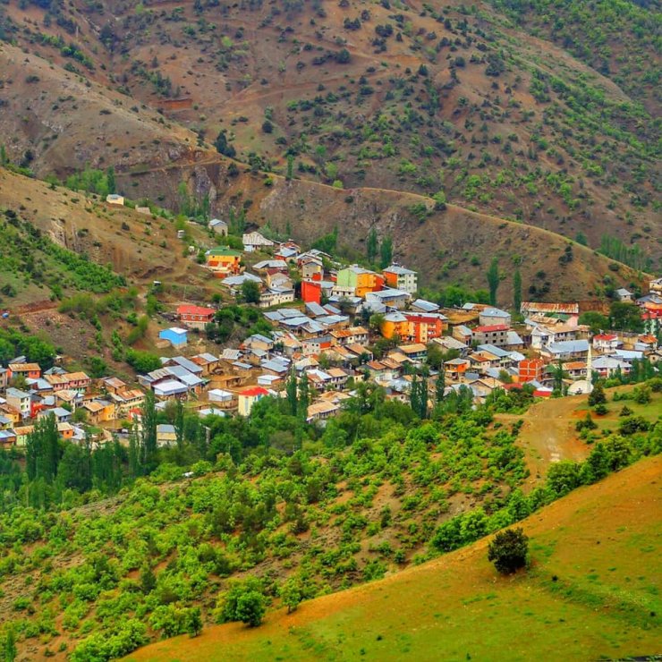 14 kişi yedikleri mantardan zehirlendi, valilik uyardı