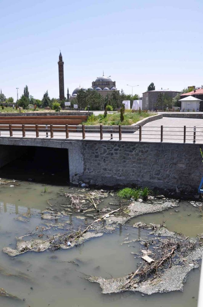 Kars Çayı zehir akıyor