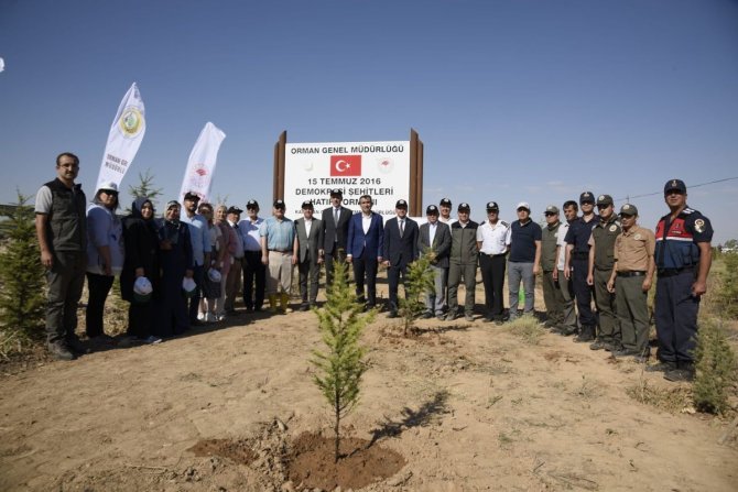 Karaman’da 15 Temmuz Demokrasi Şehitleri Hatıra Ormanı’na 251 fidan dikildi