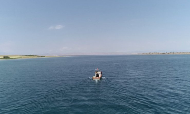 Van Gölü'nde inci kefali için av yasağı sona erdi