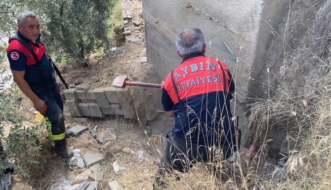 40 derece sıcaklıkta yavru köpeği kurtarmak için seferber oldular