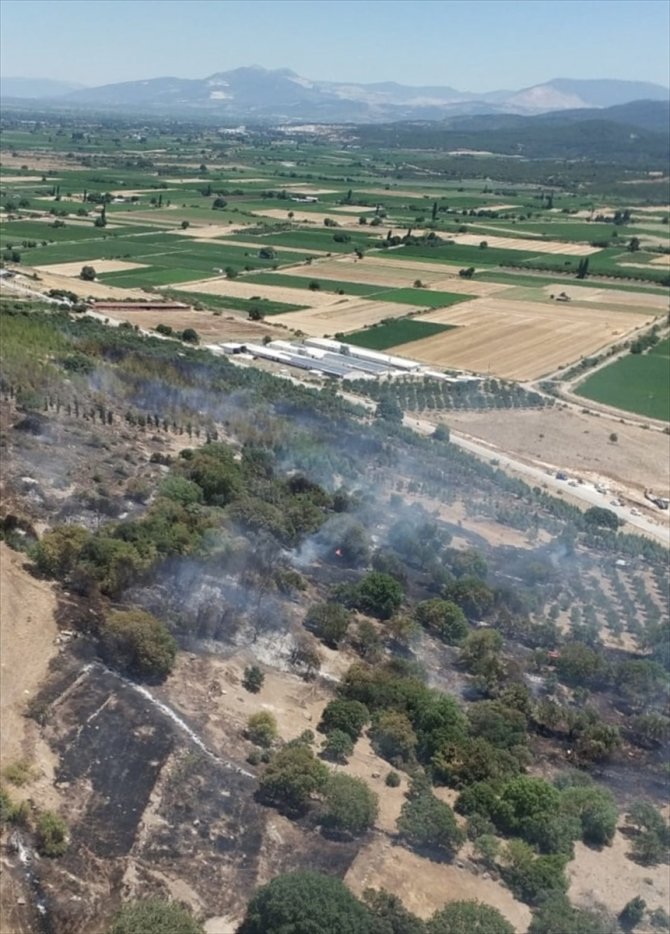 İzmir'de ağaçlandırma sahasına sıçrayan yangın kontrol altına alındı