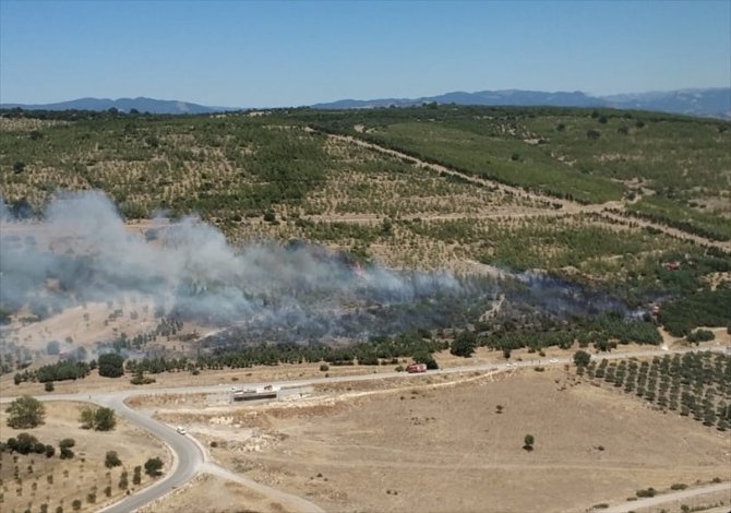 İzmir'de ağaçlandırma sahasına sıçrayan yangın kontrol altına alındı