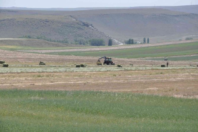 Çiftçilerin ot biçme mesaisi başladı