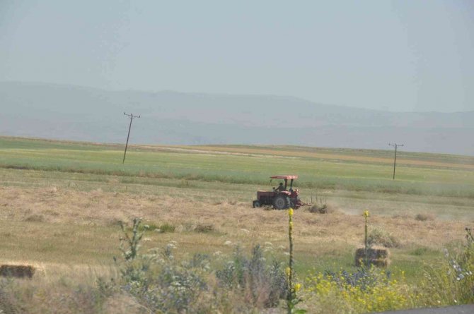 Çiftçilerin ot biçme mesaisi başladı