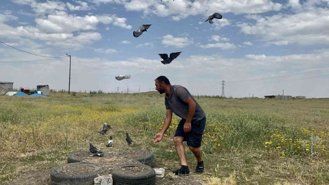 Güneşte dans eden güvercinler hayran bıraktı