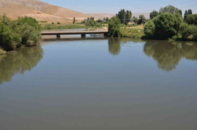 Ceyhan Nehri’nde oksijensiz kalan balıklar telef oldu