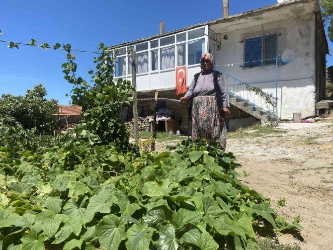 Dağlıca’da şehit olan Fatih Duru’nun annesi: “Kanımız yerde kalmadı”