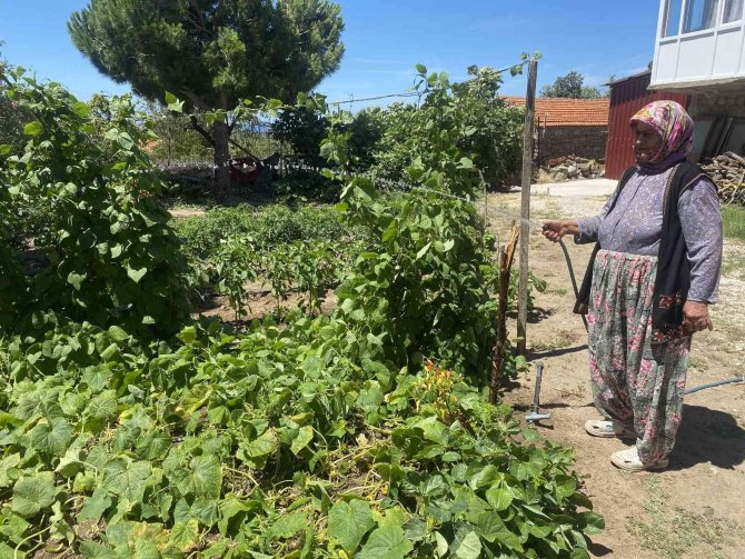 Dağlıca’da şehit olan Fatih Duru’nun annesi: “Kanımız yerde kalmadı”