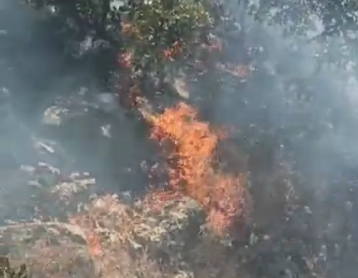 Nusaybin’de ormanlık alandaki yangın 6 saatte söndürüldü