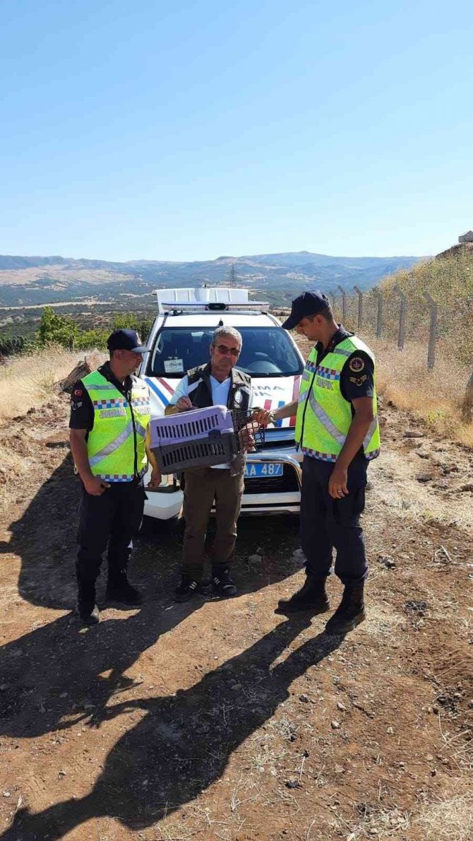 Kanadı kırık arı kuşuna jandarma sahip çıktı