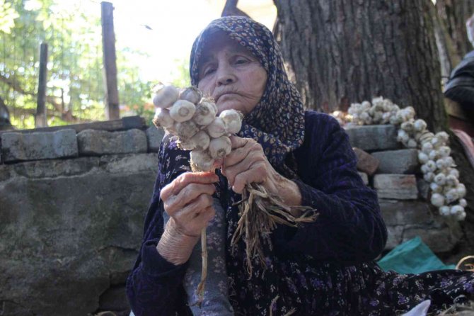 Yaş 83, bir an olsun çalışmaktan vazgeçmiyor