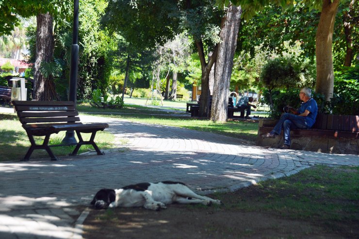 Adana’da termometreler 42 dereceyi gösterdi