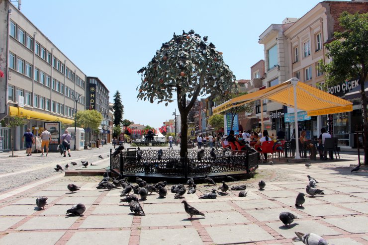 Edirne'de termometreler 43 dereceyi gördü, sıcak hava bunalttı