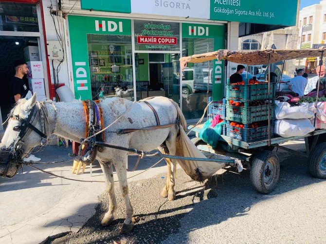 At arabasının yerini triportör motosikletler alacak