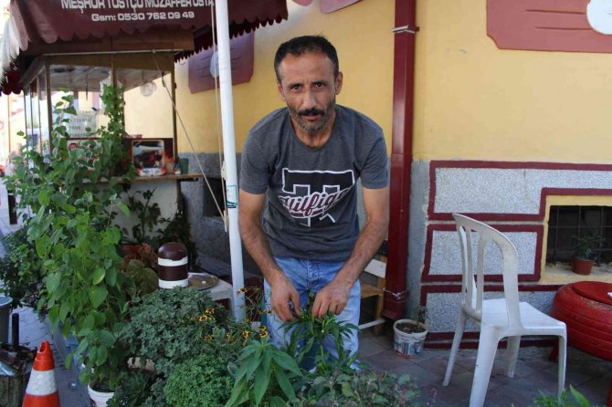 Tostçu işyerinde kendi bahçesini oluşturdu