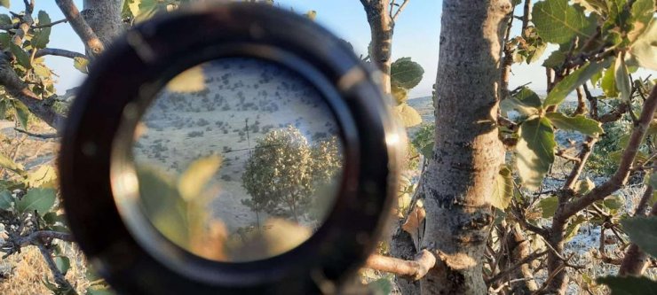 Mardin'de 544 personelle operasyon!