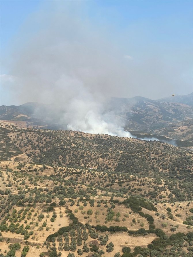 İzmir'de makilik alanda çıkan yangına müdahale ediliyor