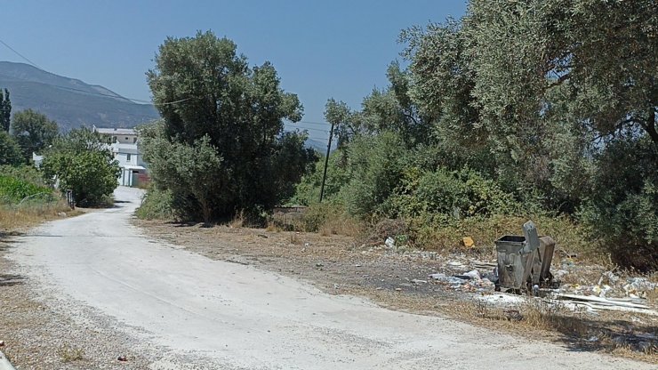 Cinayete kurban giden Konyalı Zehra'nın ölümüyle ilgili adli tıp raporu açıklandı