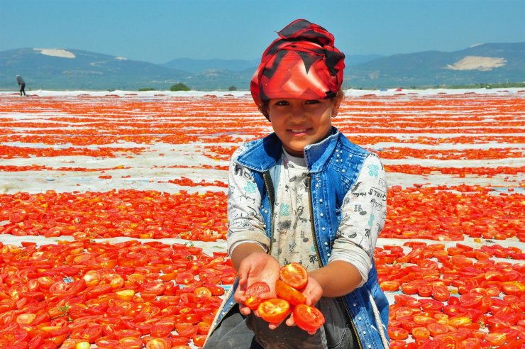 İlçede üretip ABD ve Avrupa'ya ihraç ediyorlar