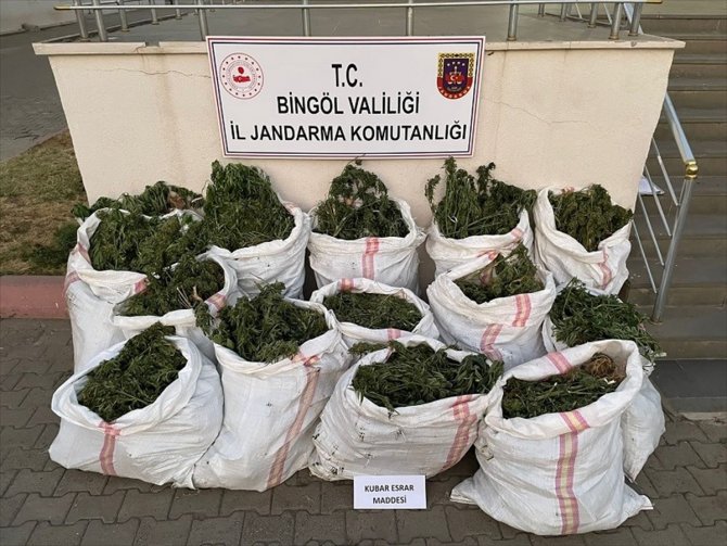 Bingöl'de 296 bin kök kenevir ve skunk ile 152 kilogram esrar ele geçirildi