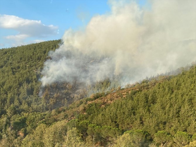 Balıkesir'deki orman yangını kontrol altına alındı