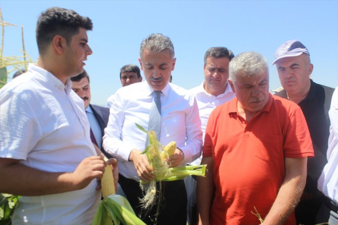 Karaman'da hasat günü etkinliği yapıldı