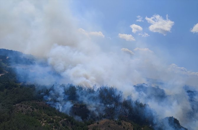 Çanakkale'de çıkan orman yangınına müdahale ediliyor