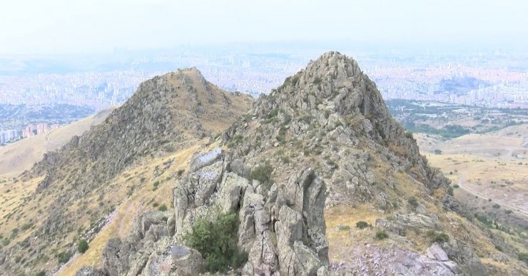 Cumhurbaşkanı Erdoğan talimat verdi, çalışmalar başladı