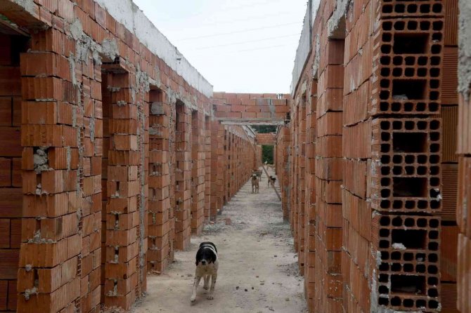 Sokak hayvanları ve yasaklı ırklara konforlu alan