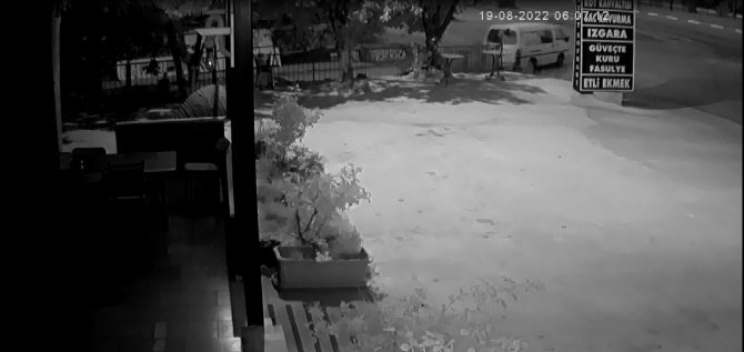 Aşçının ekmek teknesini çaldılar