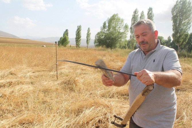Harman festivali renkli görüntülere sahne oldu
