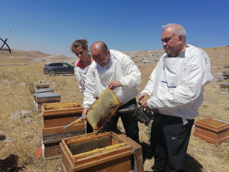 Balda verim arttı, arıcıların yüzü güldü